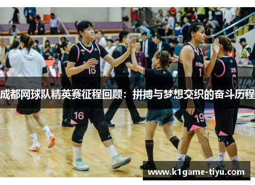 成都网球队精英赛征程回顾：拼搏与梦想交织的奋斗历程